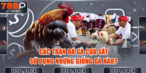 cac-tran-da-ga-cua-sat-su-dung-nhung-giong-ga-nao