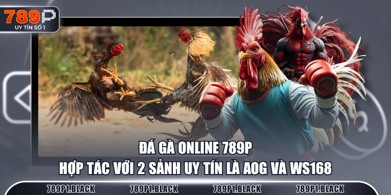 Đá gà online 789P hợp tác với 2 sảnh uy tín là AOG và WS168