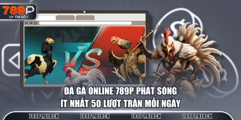 Đá gà online 789P phát sóng ít nhất 50 lượt trận mỗi ngày