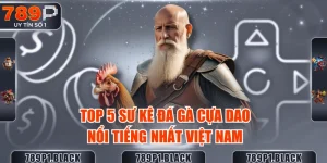 top-5-su-ke-da-ga-cua-dao-noi-tieng-nhat-viet-nam