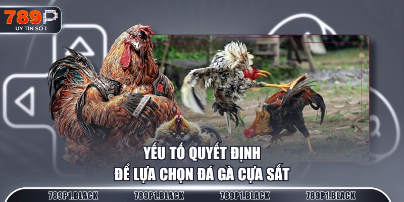 Yếu tố quyết định để lựa chọn đá gà cựa sắt
